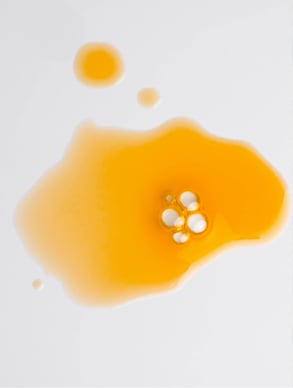 ZĒLORA All-In-One Facial Oil